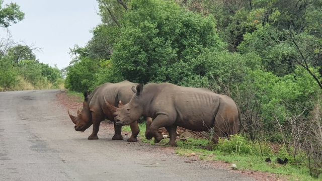 Waterberg - Nationaal Park - Zuid-Afrika - Matoke Tours
