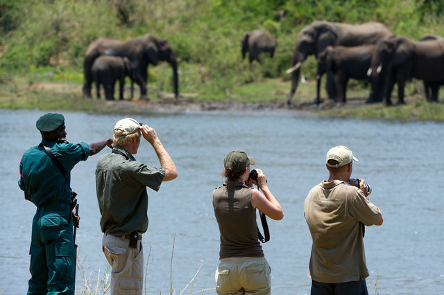 African Parks » Matoke