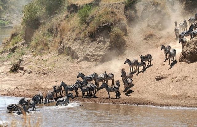 Masai Mara Safari - Bezoek Masai Mara National Park | Matoke Tours