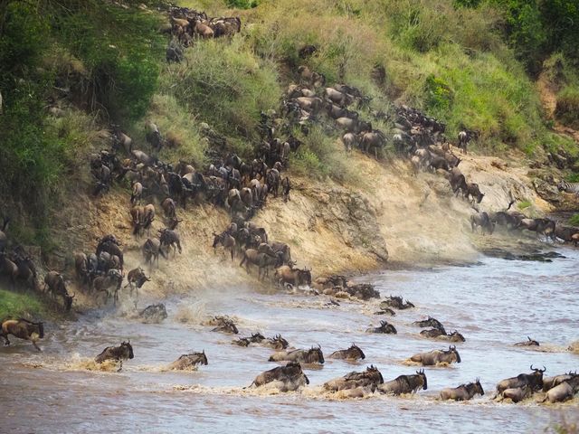 Safari en strand combineren – Bush & Beach | Matoke Tours