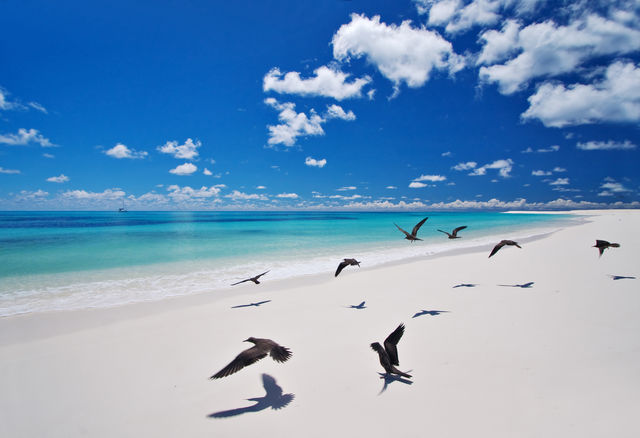 Bird Island Seychellen | Tips en informatie | Matoke Tours