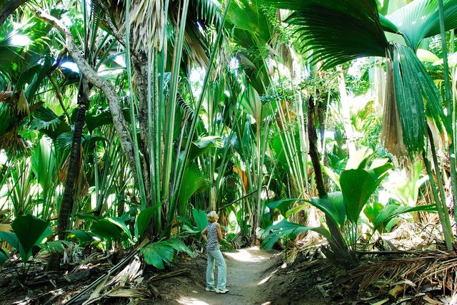 Reisinformatie Seychellen - Matoke Tours - uit liefde voor de Seychellen
