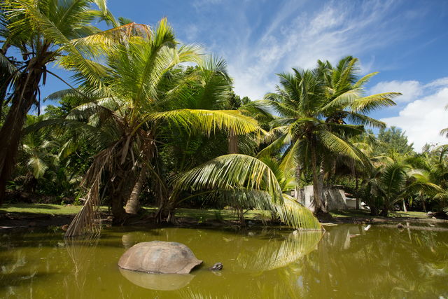 Seychellen met kinderen - De perfecte familiereis | Matoke Tours