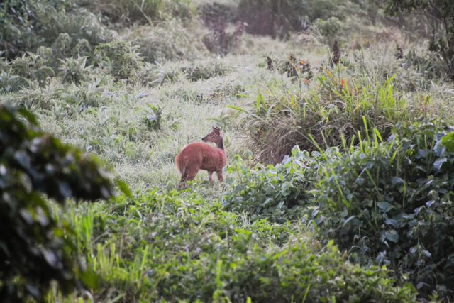 Reisspecialist Natasja op reis in Centraal Kenia | Matoke Tours