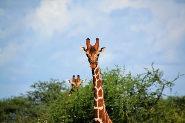 Combinatiereizen Afrika - combineer bestemmingen | Matoke Tours