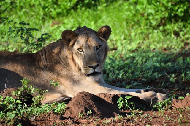 Reisspecialist Natasja op reis in Centraal Kenia | Matoke Tours