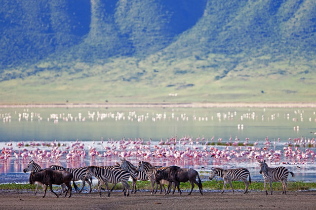 Ngorongoro Crater - Matoke Tours