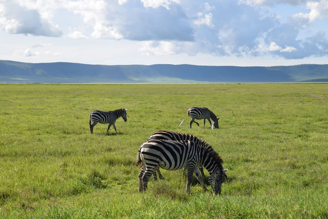 Op inspectiereis door Tanzania