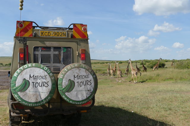 14-daagse safari reis | Dwars door Kenia | Matoke Tours