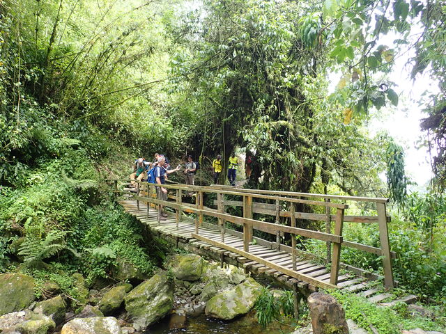 Oeganda actief met Rwenzori trekking | Wandelen en hiken in Oeganda