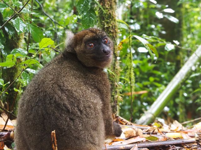 Reisspecialisten van Matoke Tours op studiereis in Madagascar