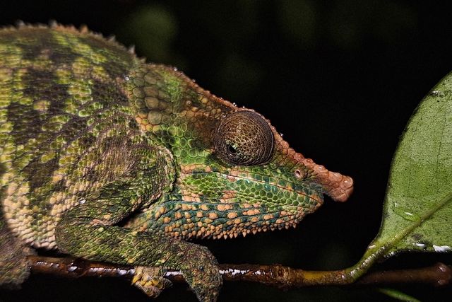 Reisspecialisten van Matoke Tours op studiereis in Madagascar