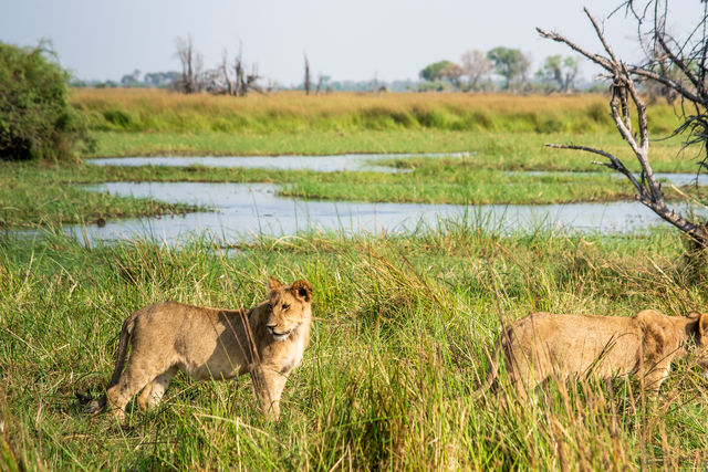 Victoria Watervallen, Zuid-Afrika en Botswana | 16-daagse reis