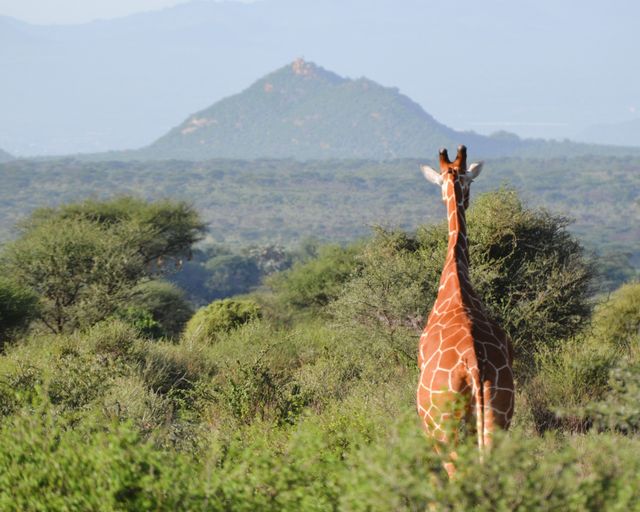 Reisspecialist Natasja op reis in Centraal Kenia | Matoke Tours