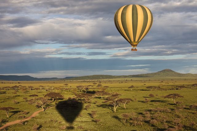 Serengeti vakantie - 10 dagen Serengeti reis | Matoke Tours