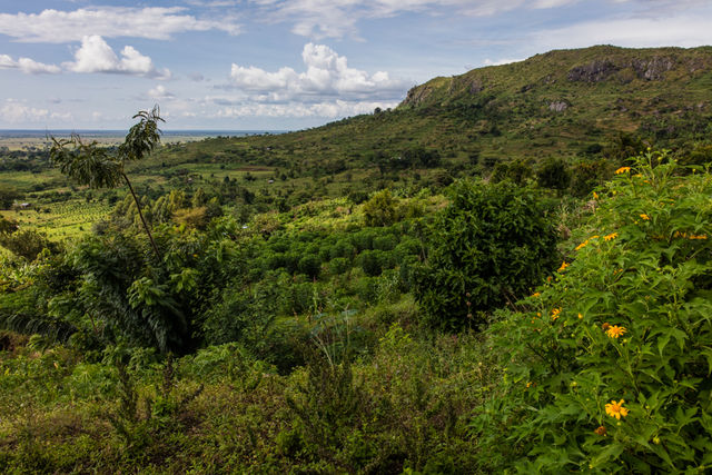 Coffee + culture "in balance with nature" on Mount Elgon