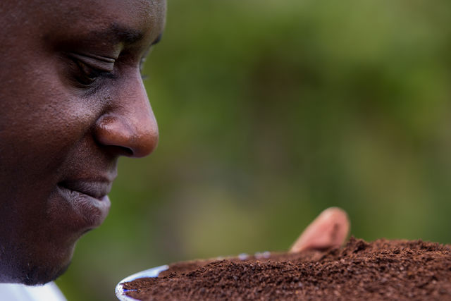 Coffee + culture "in balance with nature" on Mount Elgon