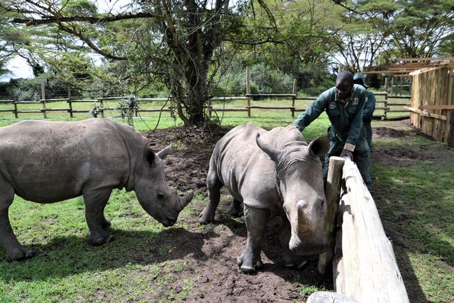 Reisspecialist Natasja op reis in Centraal Kenia | Matoke Tours