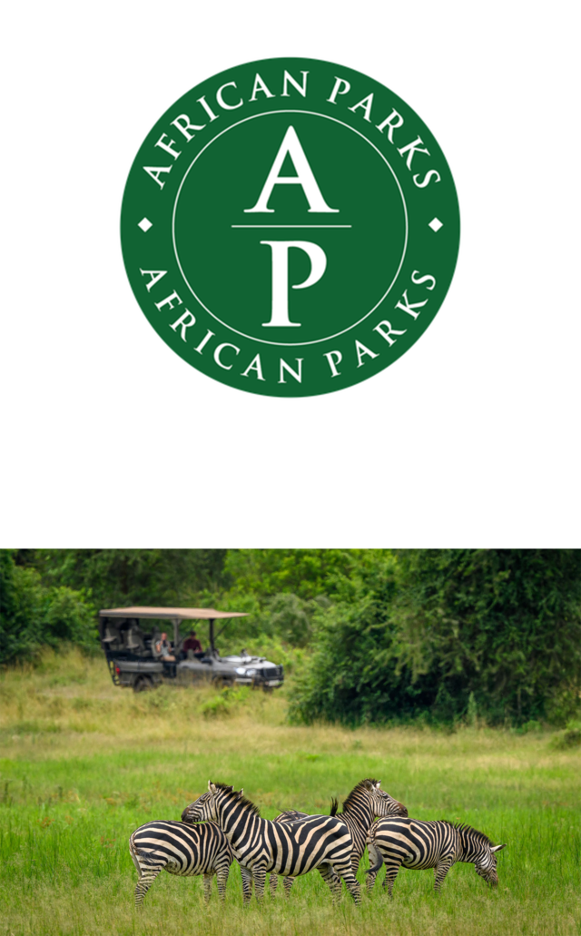 African Parks » Matoke