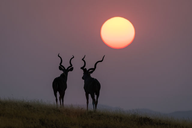 Exclusieve fly-in-safari Namibie | 12-daagse vliegrondreis in stijl