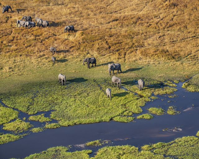 beste reistijd Afrika