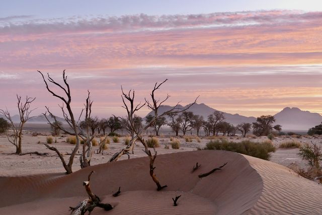 Beste reistijd voor een safari in Afrika | Matoke Tours