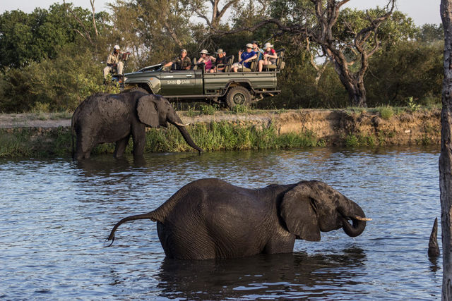 Sabi Sand - Natuurreservaat - Zuid-Afrika - Matoke Tours