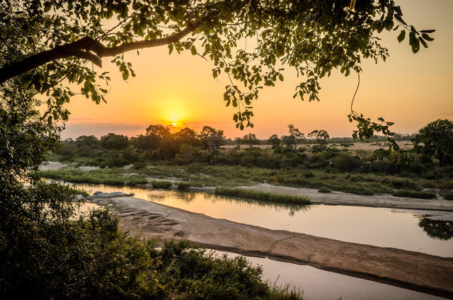 Kruger - Nationaal Park - Zuid-Afrika - Matoke Tours