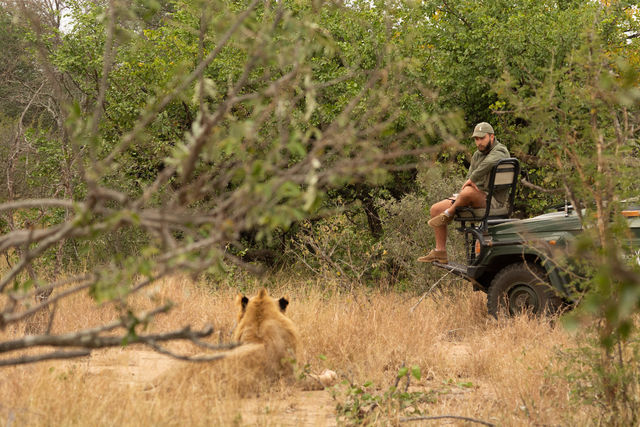 Kruger - Nationaal Park - Zuid-Afrika - Matoke Tours