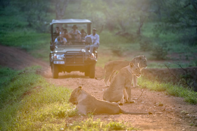 Vervoer in Zuid-Afrika | Matoke Tours | Zuid-Afrika reis