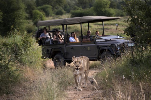 Huwelijksreis Zuid-Afrika | Matoke Tours