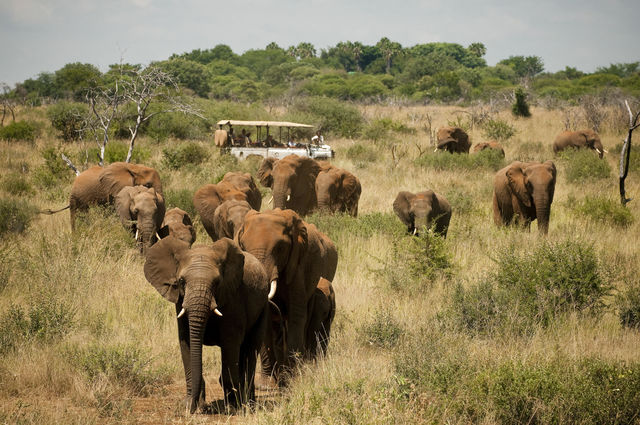 Rondreis twee weken Zuid Afrika en Seychellen | Malariavrij reizen