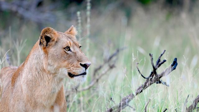 Waterberg - Nationaal Park - Zuid-Afrika - Matoke Tours