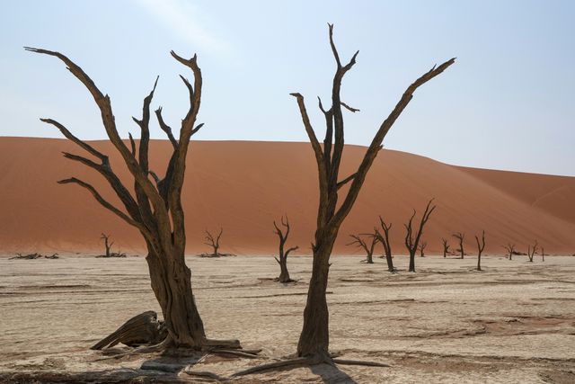 Namibiëwoestijn - de oudste woestijn ter wereld in Namibië - Matoke Tours