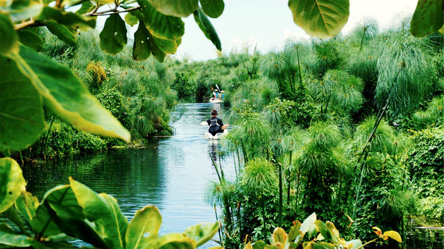 Reisinformatie La Réunion | Matoke Tours | Tips en reisadvies Réunion