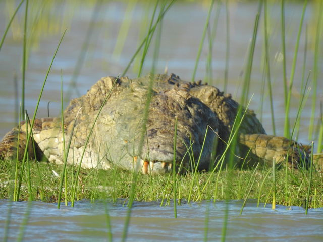 St Lucia- isimangaliso - Zuid-Afrika - Matoke Tours