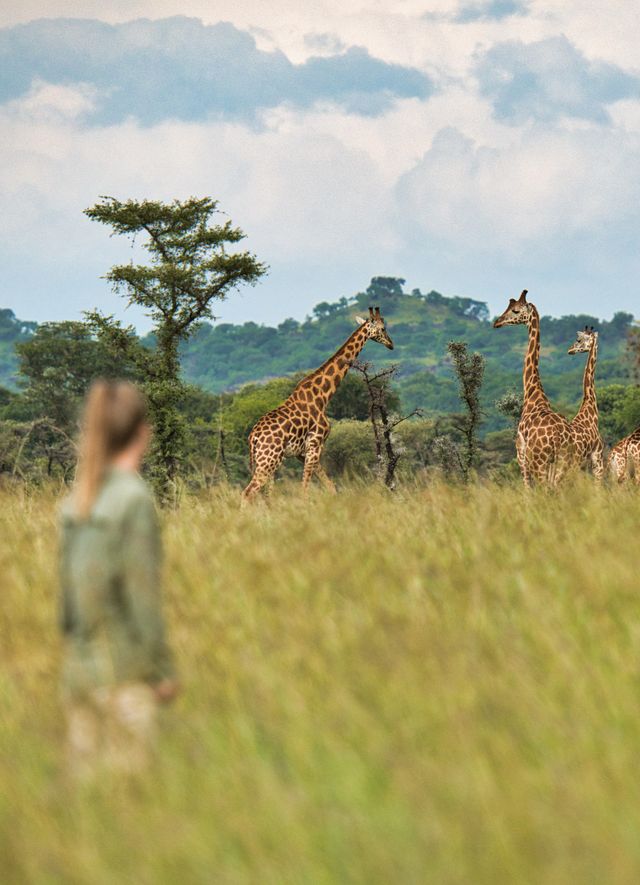 Pian Upe Wildlife Reserve - Matoke Tours