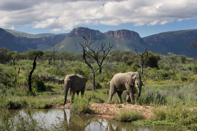 Waterberg - Nationaal Park - Zuid-Afrika - Matoke Tours