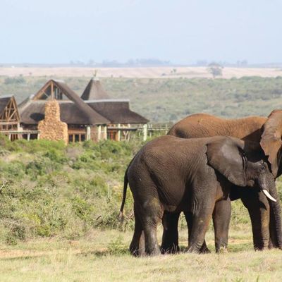 16-daagse gezinsreis Zuid-Afrika malariavrij | Tuinroute en Kaapstad