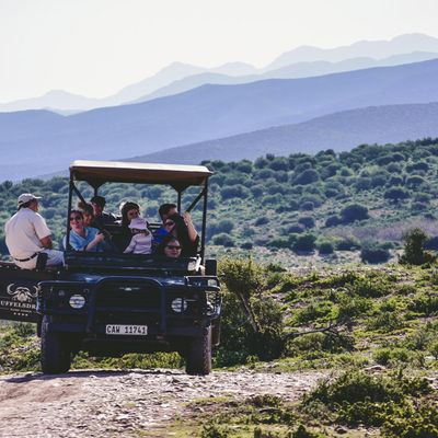 Multigeneratie reis Zuid-Afrika | Matoke Tours