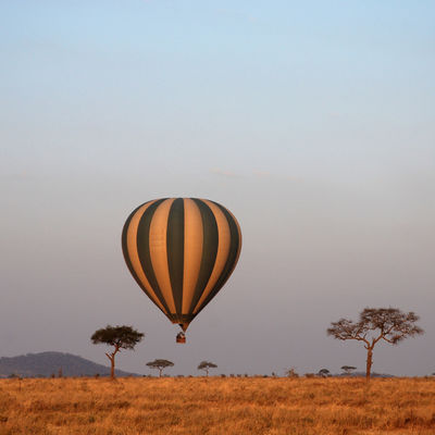 Privéreis Tanzania grote trek kalverseizoen- 9 dagen|Matoke Tours