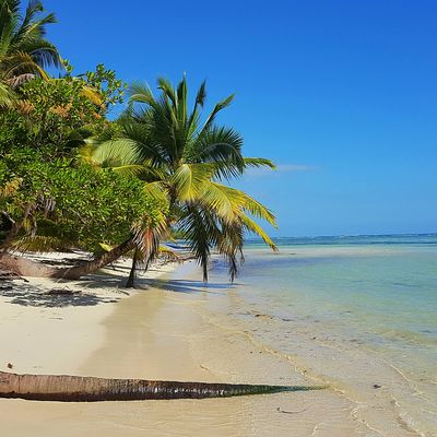 Noord Madagascar; Het land van Vanille en Ylang Ylang » Matoke