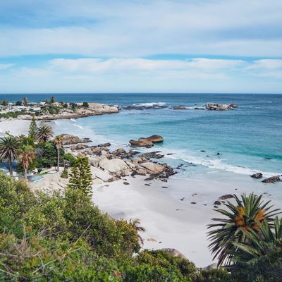 12-daagse Zuid Afrika Fly-in reis: Kruger, Kaapstad en wijnlanden