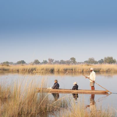 Victoria Watervallen, Zuid-Afrika en Botswana | 16-daagse reis