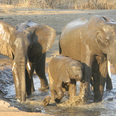 Malawi Zambia Groepsreis - Matoke Tours
