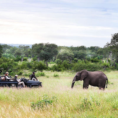 12-daagse Zuid Afrika Fly-in reis: Kruger, Kaapstad en wijnlanden