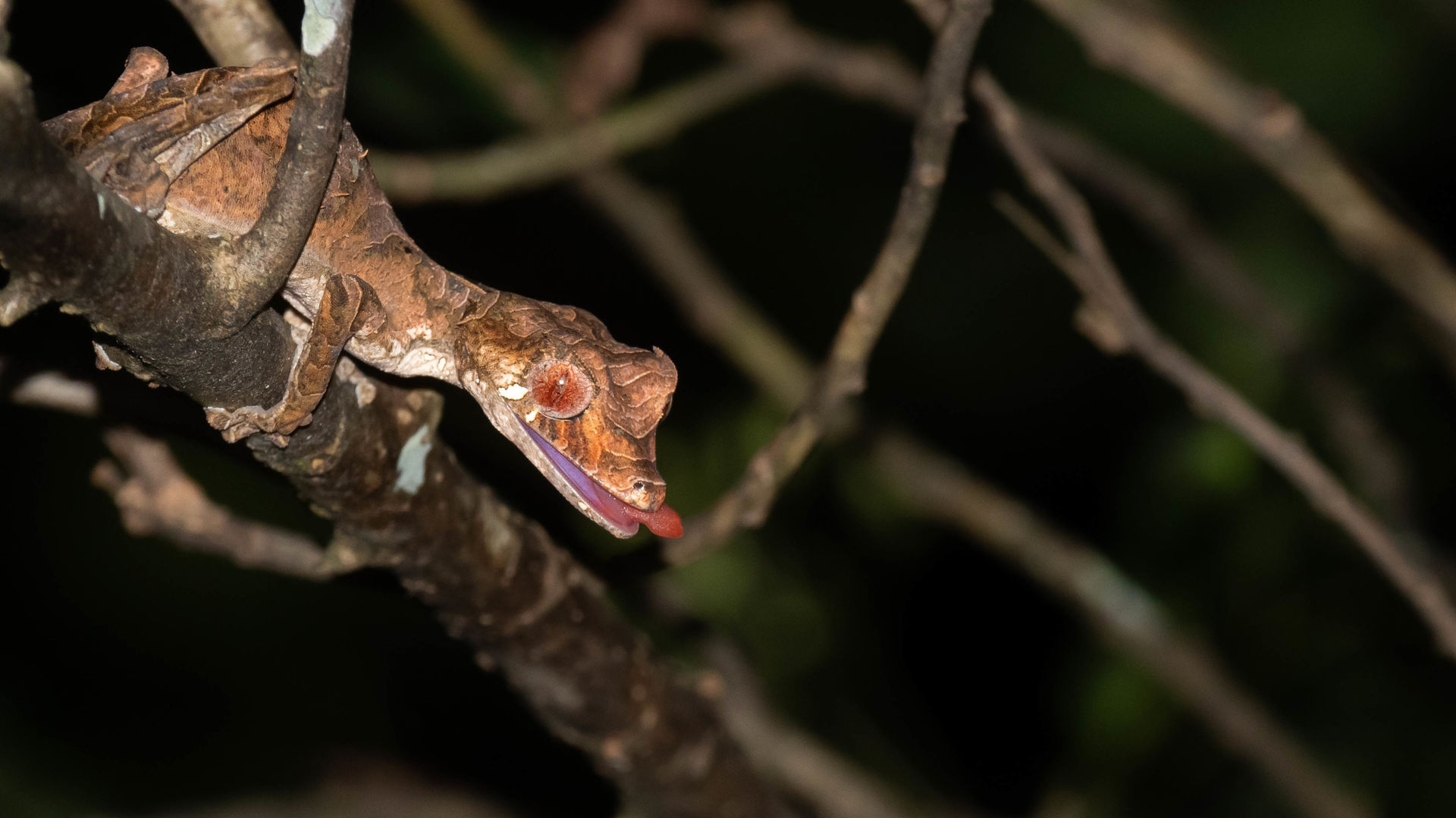 Madagascar RN7 en westroute langs kust » Matoke