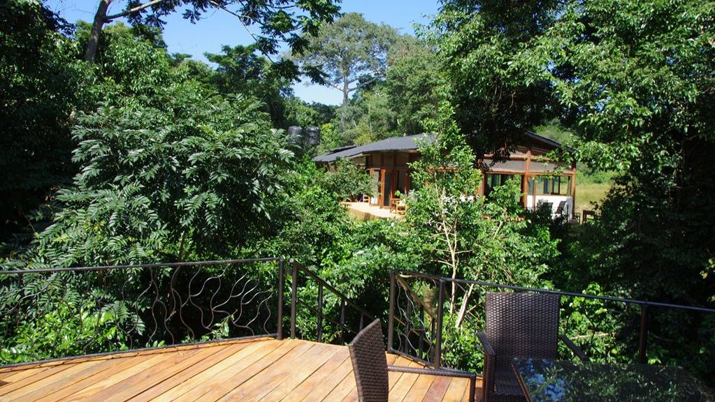 Nkima Forest Lodge » Matoke