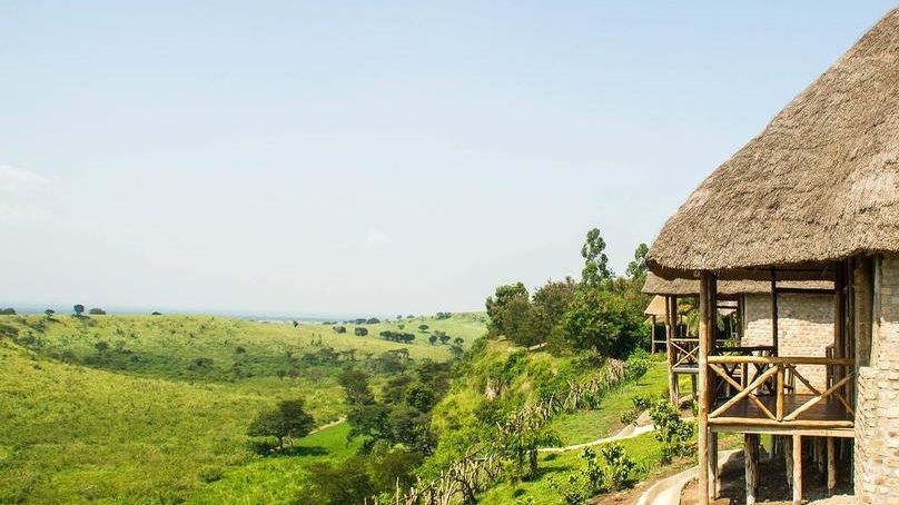 Elephant Hab Lodge » Matoke