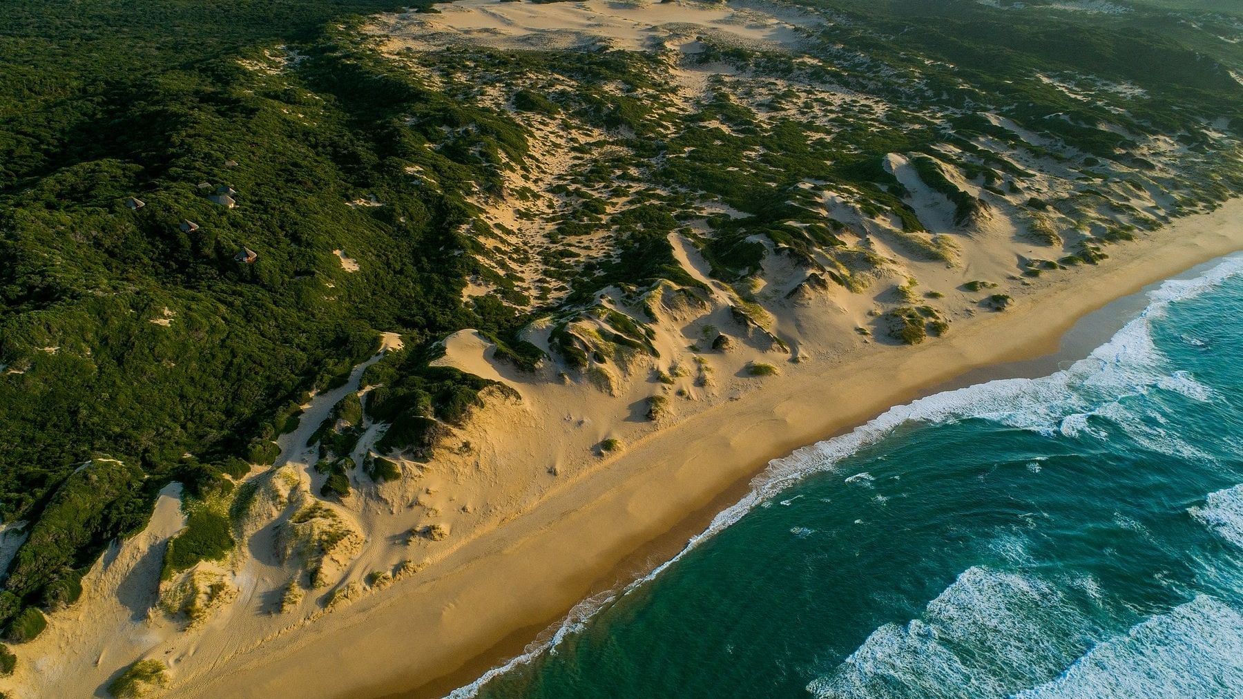 Dunes de Dovela - Tofo » Matoke